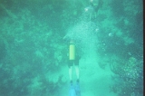 Taylor Scuba Diving 06
